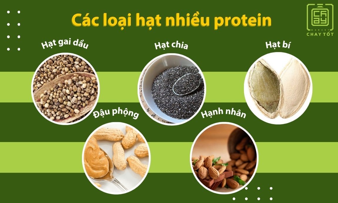 Các loại hạt nhiều protein giúp bổ sung dinh dưỡng
