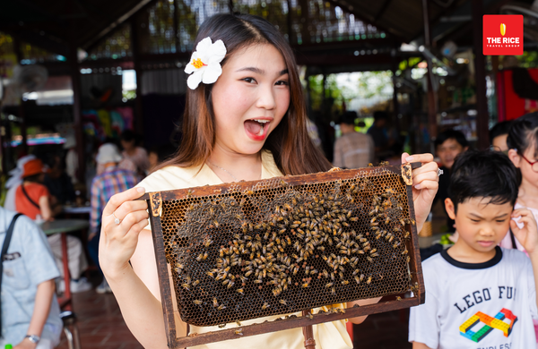 Mật ong nguyên chất được thu hoạch ngay tại trại