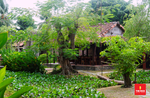 Không gian tại đây trong lành, cây cối mát mẻ
