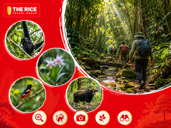 Bạn sẽ được tận mắt chứng kiến hệ sinh thái động vật và thực vật đa dạng tại Nam Cát Tiên