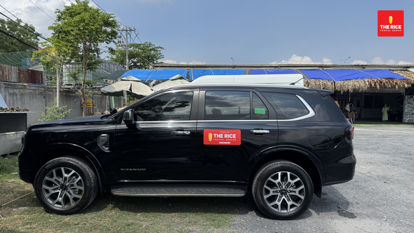 Liên hệ The Rice Travel Group để trải nghiệm City Tour một cách trọn vẹn nhất
