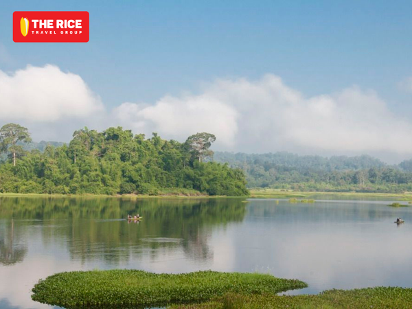 Nam Cát Tiên - điểm đến hàng đầu đáng thử cho mùa hè này