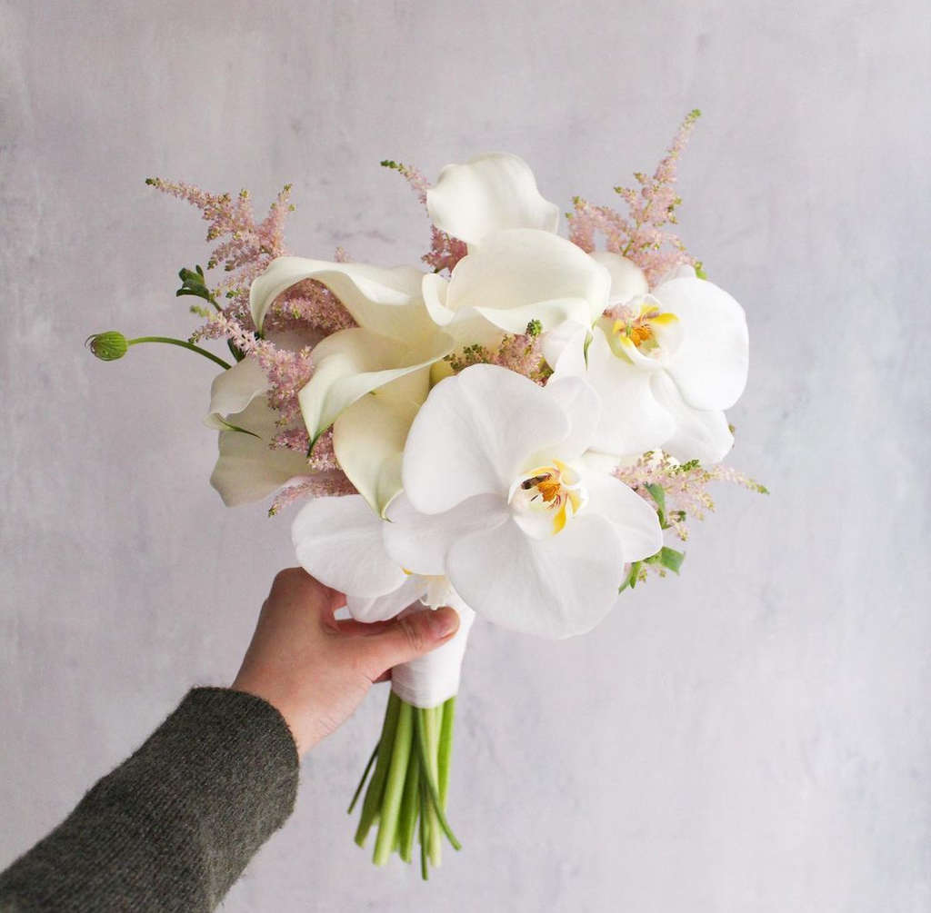 Hoa cưới lan hồ điệp