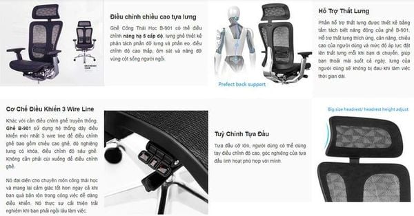 Cơ chế tựa lưng nghiêng của ghế công thái học là gì