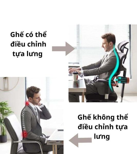 Ghế công thái học có thể điều chỉnh độ cao tựa lưng