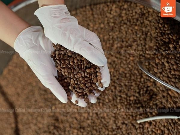 nguyen-lieu-pha-americano