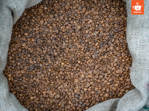 messagecoffee-xuong-rang-ca-phe-uy-tin