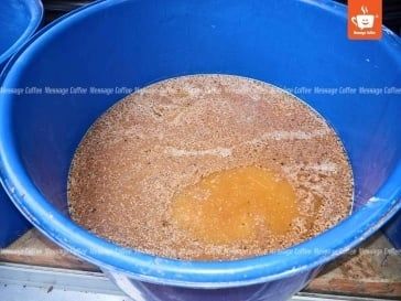 Rủi Ro Của Cà Phê Lên Men