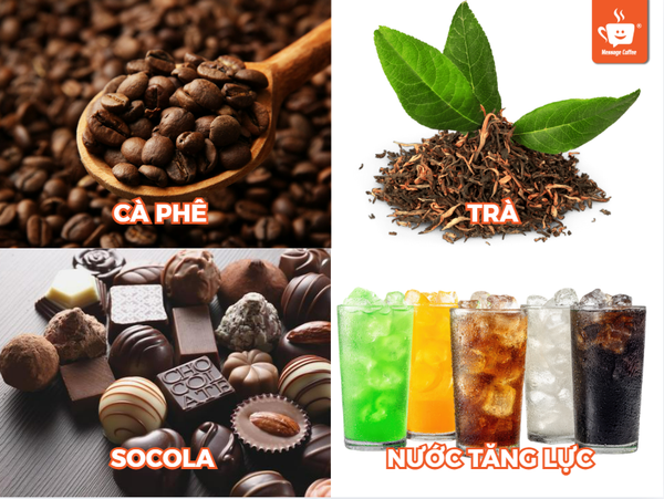cac-loai-co-caffeine