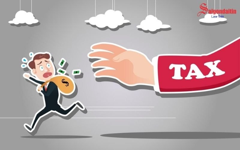 đồ họa miêu tả doanh nghiệp và ranh giới pháp lý giữa sai sót kê khai và trốn thuế