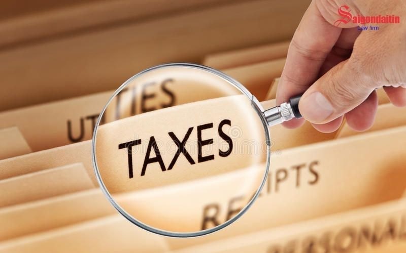 đồ họa miêu tả doanh nghiệp và ranh giới pháp lý giữa sai sót kê khai và trốn thuế