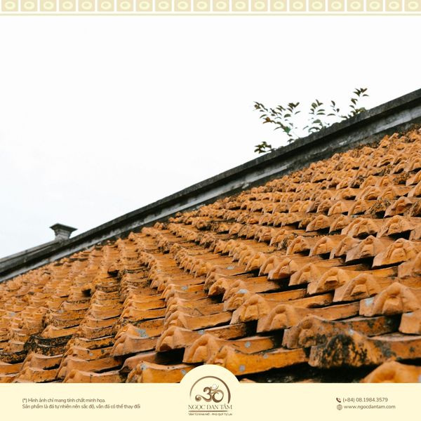 Đặc điểm năng lượng của Ốc Thượng Thổ