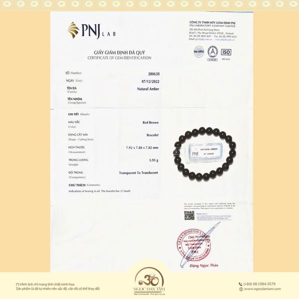 Kiểm định hổ phách