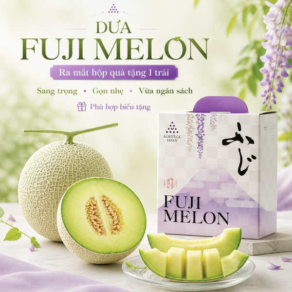 hộp quà tặng dưa fuji melon
