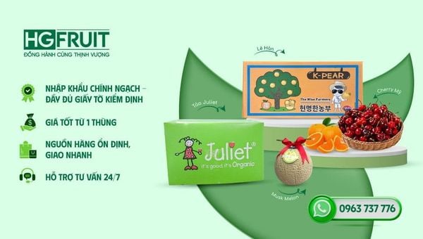 Hoàng Giang Fruit - Tổng kho trái cây toàn quốc