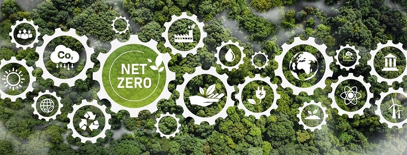 cam kết net zero trong quyết định số 2626