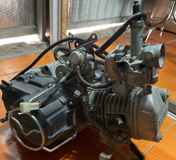 dau-hieu-thay-cu-de-sirius