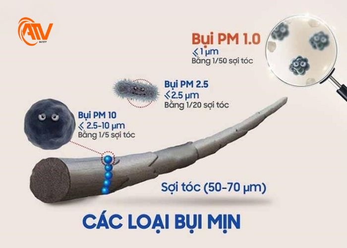Những loại bụi mịn phổ biến nhất
