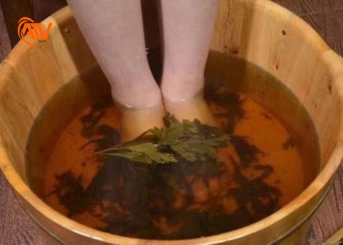 Trị hôi chân khi ngâm chân với ngải cứu
