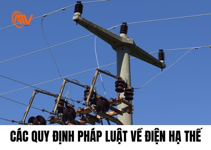 Các quy định pháp luật của điện hạ thế