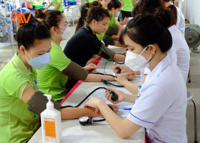 Quy định khám sức khỏe trước khi làm việc và khám sức khỏe định kỳ