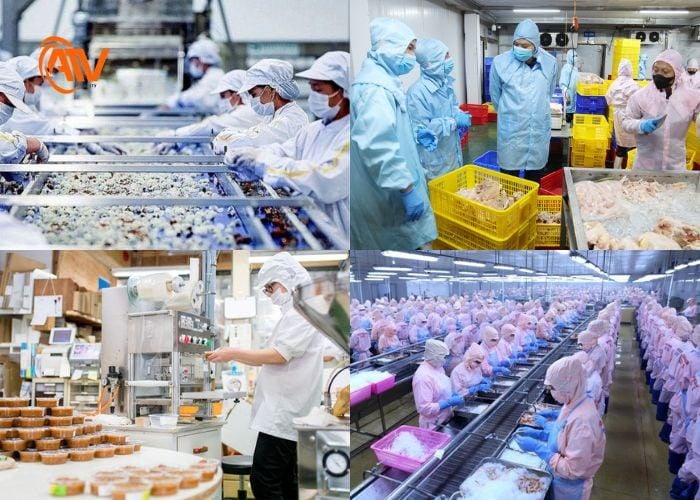 Đối tượng bắt buộc phải khám sức khỏe một cách toàn diện