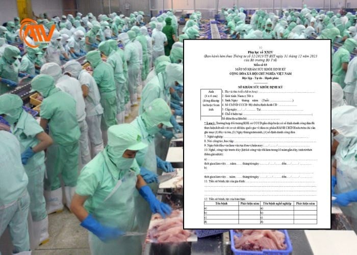 Các hồ sơ khám sức khỏe trong ngành thực phẩm