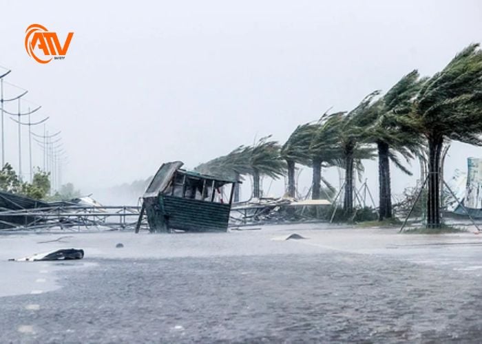 Bão lớn 2025 biến động khó lường