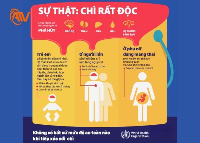 Nhận biết nhiễm độc chì