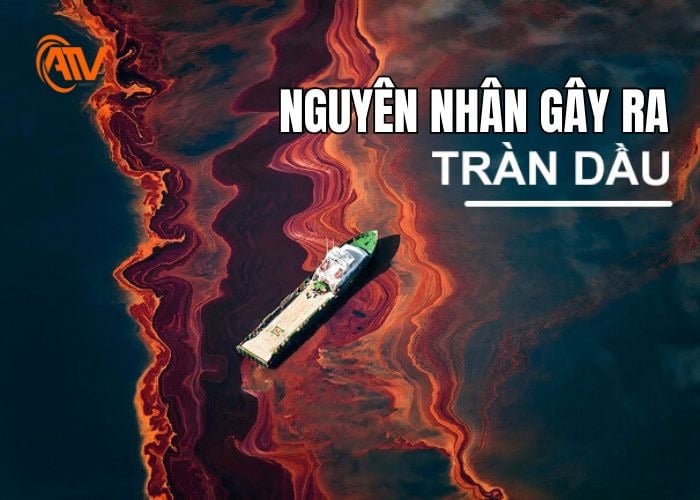 Nguyên nhân gây ra sự cố tràn dầu phổ biến