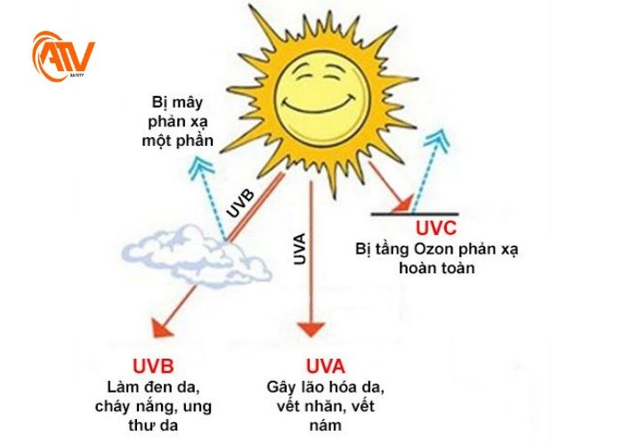 Các loại về tia UV