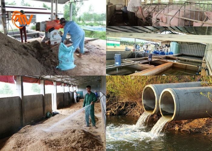 Quy trình xử lý chất thải chuẩn kỹ thuật