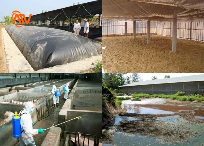 Các phương pháp xử lý chất thải trong chăn nuôi chất lượng