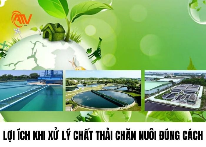 Lợi ích khi xử lý chất thải chăn nuôi nâng cao hiệu quả