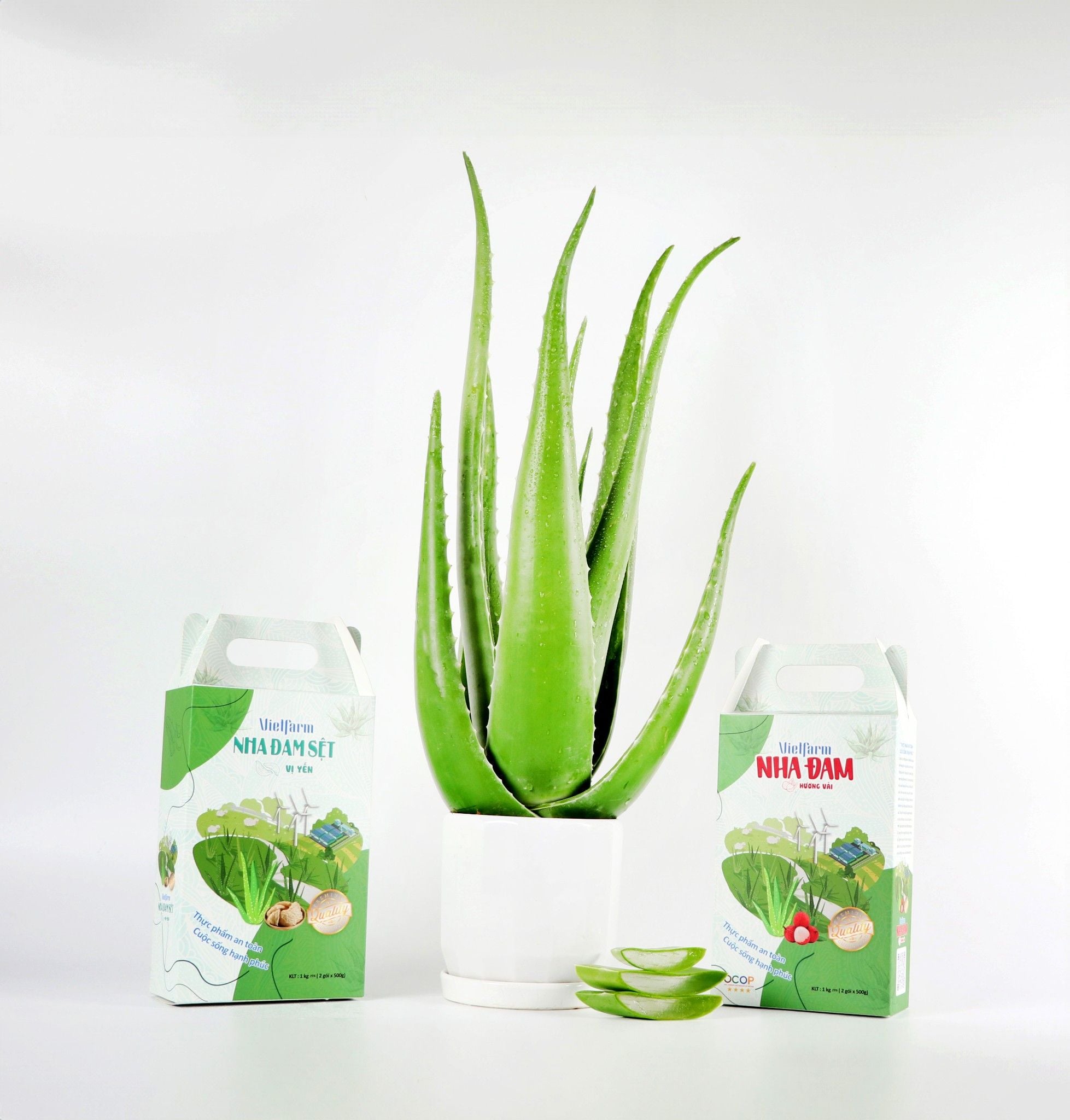 GC Food cung cấp đa dạng các dòng sản phẩm nha đam, trong đó có nha đam sệt vị yến.