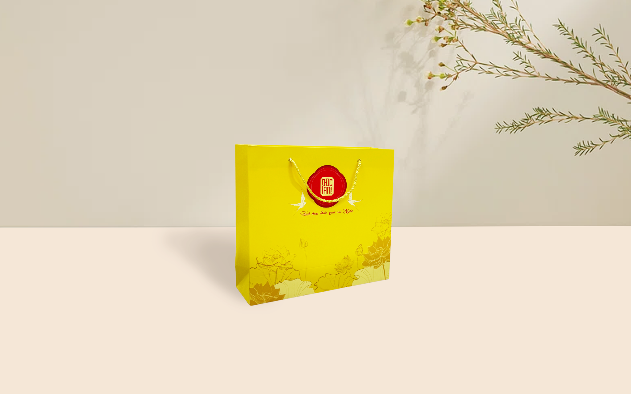 Hình ảnh bài viết