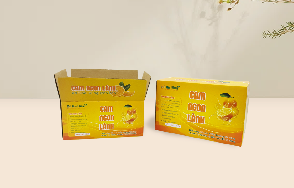 Hình ảnh bài viết