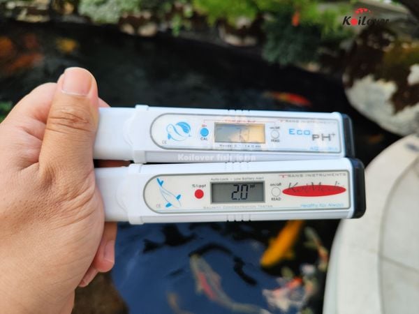Kiểm tra chỉ số cho hồ nhà khách những ngày nắng nóng đỉnh điểm