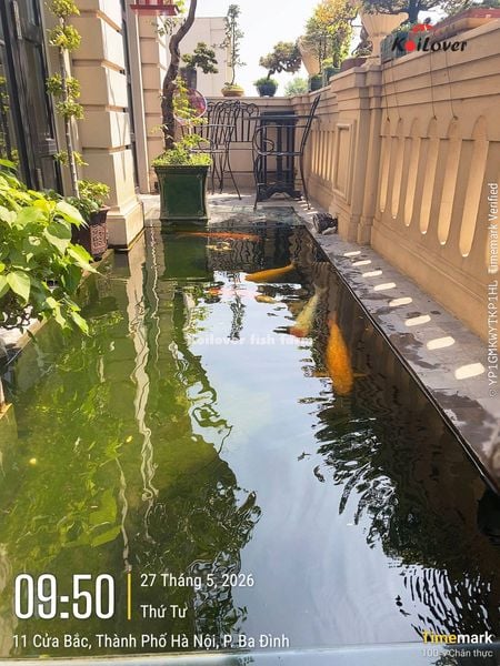 Kiểm tra hồ nhà khách những ngày nắng nóng đỉnh điểm