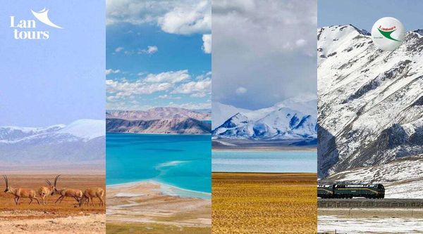 Đường Tàu Thanh Tạng