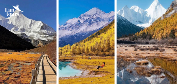 Á Đinh - Đạo Thành