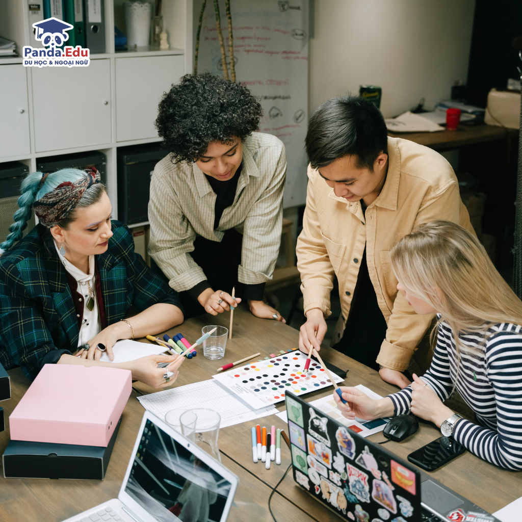 Du học Úc nên học ngành gì? Top 10 ngành học triển vọng tại Úc dành cho du học sinh