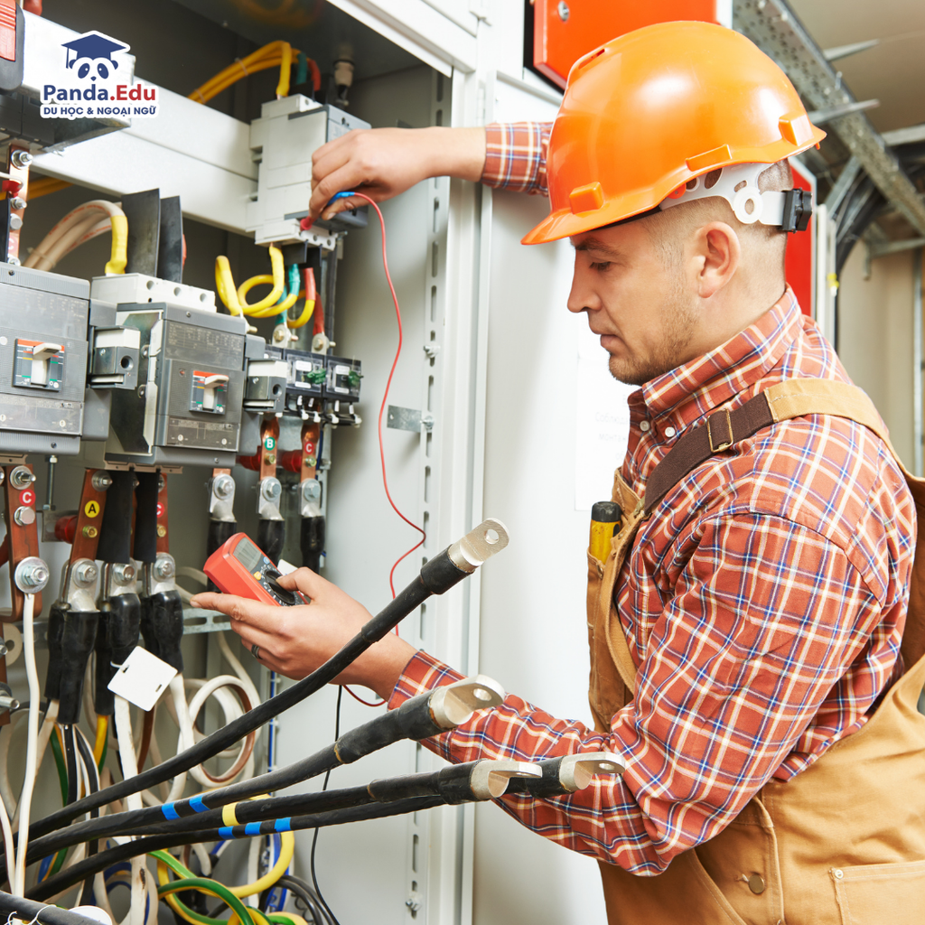 Du học Úc nên học ngành gì? Top 10 ngành học triển vọng tại Úc dành cho du học sinh