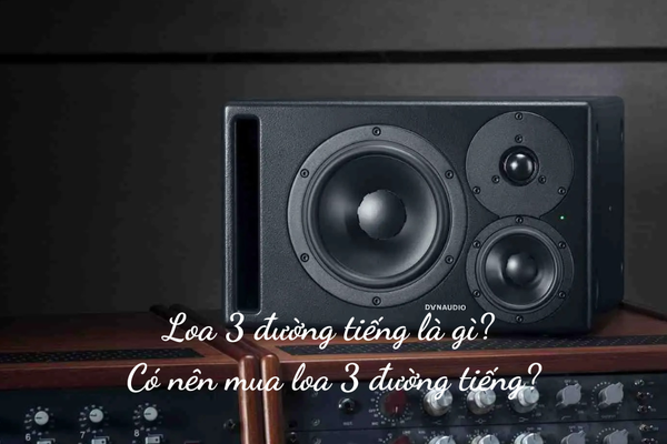 Hình ảnh bài viết