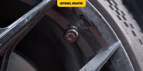 Hình ảnh bài viết