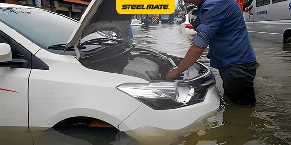 Hình ảnh bài viết