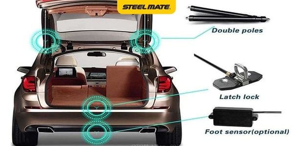 Hình ảnh bài viết