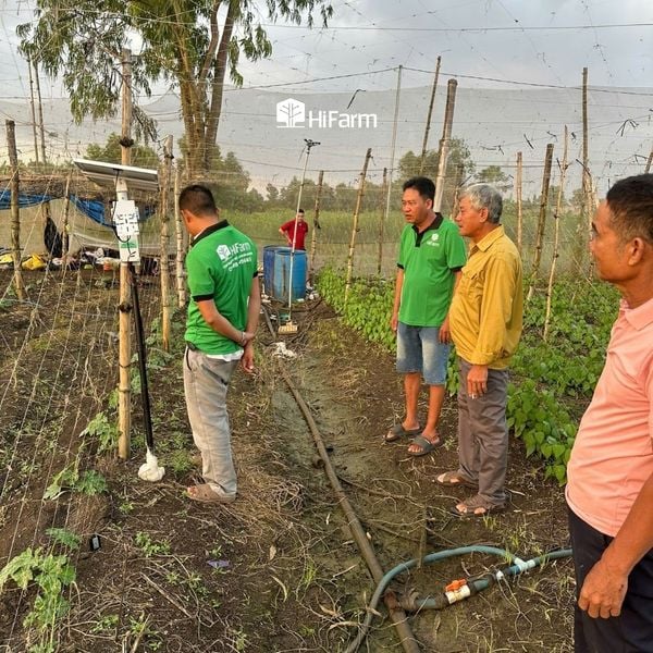 Để phát triển mô hình nông nghiệp sạch hiệu quả cần sự phối hợp của các bên