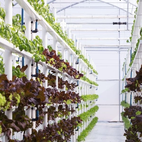 Một số mô hình nông nghiệp thông minh trên thế giới