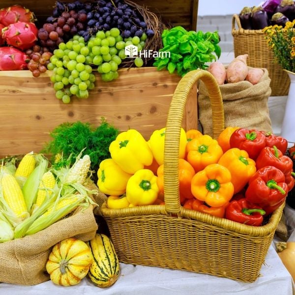 Đặc điểm của mô hinh nông nghiệp sạch